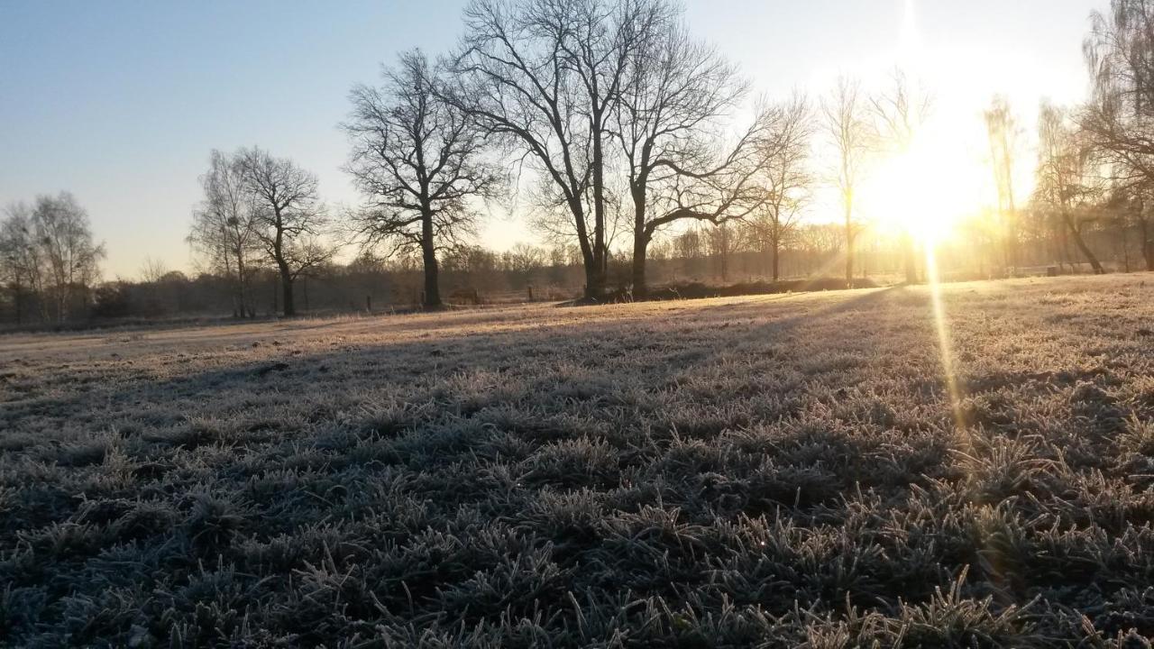 Grosses Mit Garten - 4 Km Bis Zum Senftenberg